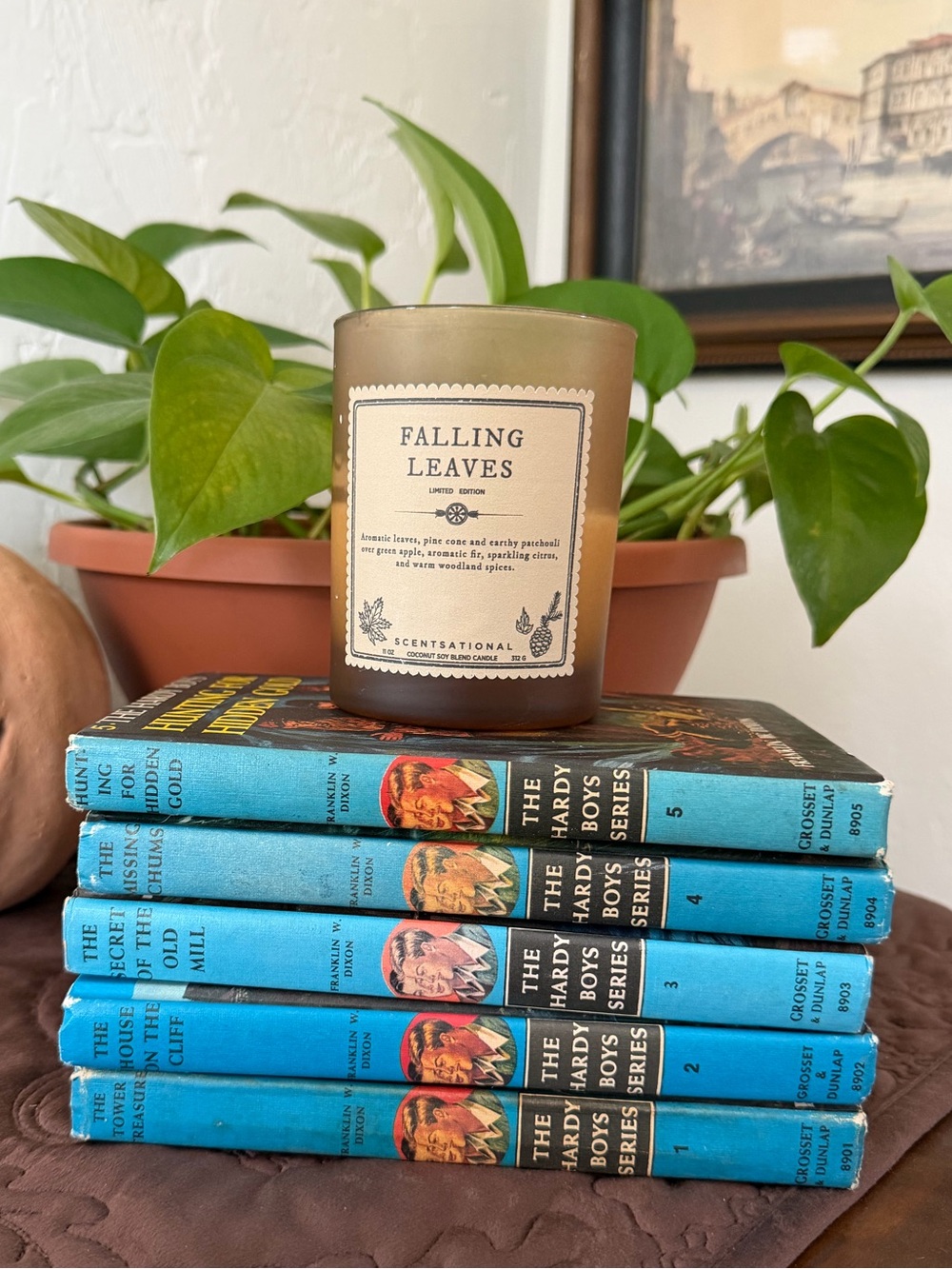Vintage Hardy boys books